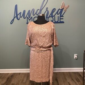 Pink Sequined Dress